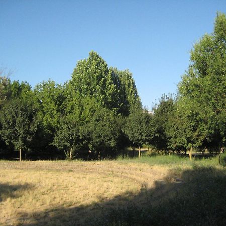 La Casa Di Emy Διαμέρισμα Ρώμη Εξωτερικό φωτογραφία